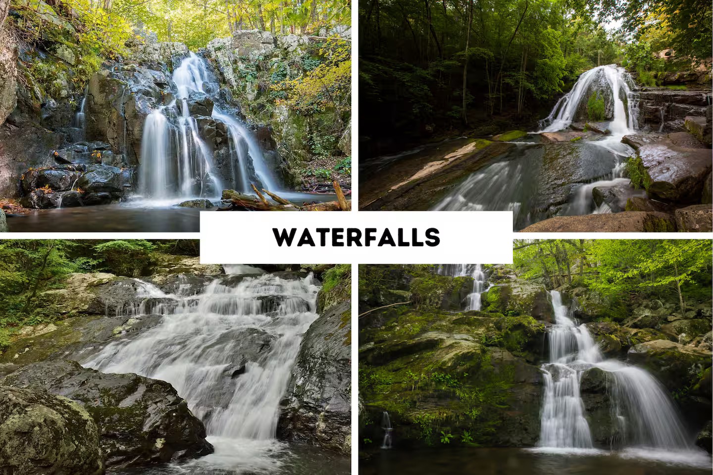 Hikes near Cedar Escape
